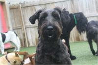 daycare pic 99 - kaiser smile